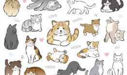 漫画 猫,喵星人的奇幻冒险之旅