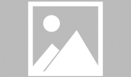 娱乐圈吃瓜男导演小说,导演的瓜田秘事